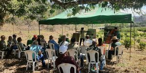 Unveil 8a21a6f614db065bb1ca2c21a5c803aede783f93e5277febbd47f37d9dbae4ca