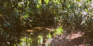 Unveil 8a21a6f614db065bb1ca2c21a5c803aede783f93e5277febbd47f37d9dbae4ca