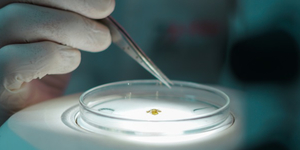 Unveil 8a21a6f614db065bb1ca2c21a5c803aede783f93e5277febbd47f37d9dbae4ca