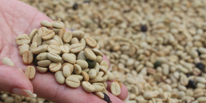 Unveil 8a21a6f614db065bb1ca2c21a5c803aede783f93e5277febbd47f37d9dbae4ca