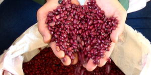 Unveil 8a21a6f614db065bb1ca2c21a5c803aede783f93e5277febbd47f37d9dbae4ca