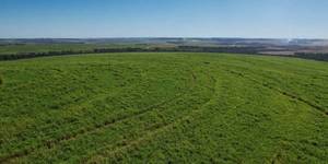 Unveil 8a21a6f614db065bb1ca2c21a5c803aede783f93e5277febbd47f37d9dbae4ca