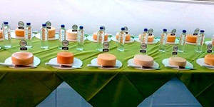 Unveil 8a21a6f614db065bb1ca2c21a5c803aede783f93e5277febbd47f37d9dbae4ca