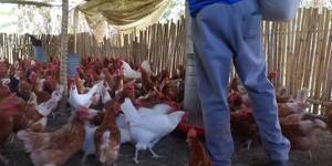 Unveil 8a21a6f614db065bb1ca2c21a5c803aede783f93e5277febbd47f37d9dbae4ca