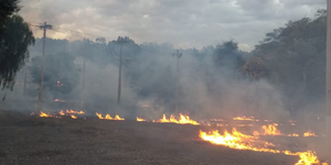 Unveil 8a21a6f614db065bb1ca2c21a5c803aede783f93e5277febbd47f37d9dbae4ca