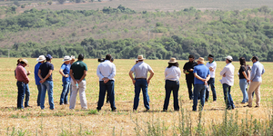 Unveil 8a21a6f614db065bb1ca2c21a5c803aede783f93e5277febbd47f37d9dbae4ca