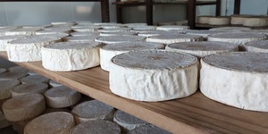 Unveil 8a21a6f614db065bb1ca2c21a5c803aede783f93e5277febbd47f37d9dbae4ca