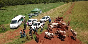 Unveil 8a21a6f614db065bb1ca2c21a5c803aede783f93e5277febbd47f37d9dbae4ca