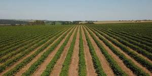 Unveil 8a21a6f614db065bb1ca2c21a5c803aede783f93e5277febbd47f37d9dbae4ca