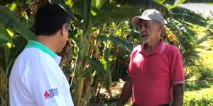 Unveil 8a21a6f614db065bb1ca2c21a5c803aede783f93e5277febbd47f37d9dbae4ca