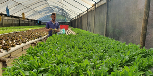 Unveil 8a21a6f614db065bb1ca2c21a5c803aede783f93e5277febbd47f37d9dbae4ca