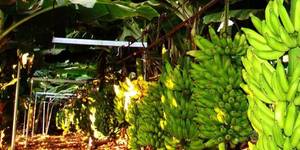 Unveil 8a21a6f614db065bb1ca2c21a5c803aede783f93e5277febbd47f37d9dbae4ca