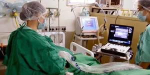 Unveil 8a21a6f614db065bb1ca2c21a5c803aede783f93e5277febbd47f37d9dbae4ca