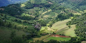 Unveil 8a21a6f614db065bb1ca2c21a5c803aede783f93e5277febbd47f37d9dbae4ca