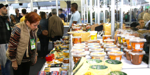 Unveil 8a21a6f614db065bb1ca2c21a5c803aede783f93e5277febbd47f37d9dbae4ca