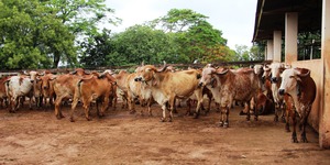 Unveil 8a21a6f614db065bb1ca2c21a5c803aede783f93e5277febbd47f37d9dbae4ca