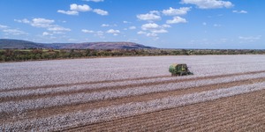 Unveil 8a21a6f614db065bb1ca2c21a5c803aede783f93e5277febbd47f37d9dbae4ca