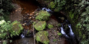 Unveil 8a21a6f614db065bb1ca2c21a5c803aede783f93e5277febbd47f37d9dbae4ca