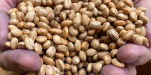 Unveil 8a21a6f614db065bb1ca2c21a5c803aede783f93e5277febbd47f37d9dbae4ca