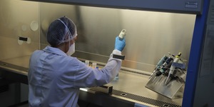 Unveil 8a21a6f614db065bb1ca2c21a5c803aede783f93e5277febbd47f37d9dbae4ca