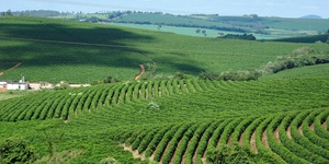 Unveil 8a21a6f614db065bb1ca2c21a5c803aede783f93e5277febbd47f37d9dbae4ca