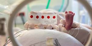 Unveil 8a21a6f614db065bb1ca2c21a5c803aede783f93e5277febbd47f37d9dbae4ca