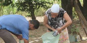 Unveil 8a21a6f614db065bb1ca2c21a5c803aede783f93e5277febbd47f37d9dbae4ca