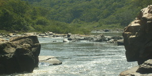 Unveil 8a21a6f614db065bb1ca2c21a5c803aede783f93e5277febbd47f37d9dbae4ca