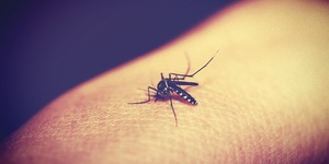 Unveil 8a21a6f614db065bb1ca2c21a5c803aede783f93e5277febbd47f37d9dbae4ca