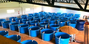 Unveil 8a21a6f614db065bb1ca2c21a5c803aede783f93e5277febbd47f37d9dbae4ca