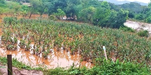 Unveil 8a21a6f614db065bb1ca2c21a5c803aede783f93e5277febbd47f37d9dbae4ca