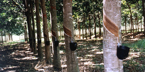 Unveil 8a21a6f614db065bb1ca2c21a5c803aede783f93e5277febbd47f37d9dbae4ca