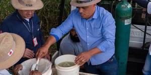 Unveil 8a21a6f614db065bb1ca2c21a5c803aede783f93e5277febbd47f37d9dbae4ca