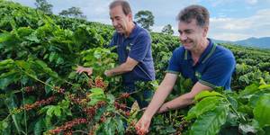 Unveil 8a21a6f614db065bb1ca2c21a5c803aede783f93e5277febbd47f37d9dbae4ca