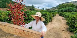 Unveil 8a21a6f614db065bb1ca2c21a5c803aede783f93e5277febbd47f37d9dbae4ca