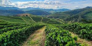 Unveil 8a21a6f614db065bb1ca2c21a5c803aede783f93e5277febbd47f37d9dbae4ca