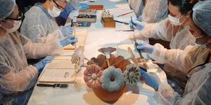 Unveil 8a21a6f614db065bb1ca2c21a5c803aede783f93e5277febbd47f37d9dbae4ca