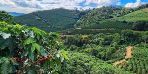 Unveil 8a21a6f614db065bb1ca2c21a5c803aede783f93e5277febbd47f37d9dbae4ca