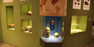 Unveil 8a21a6f614db065bb1ca2c21a5c803aede783f93e5277febbd47f37d9dbae4ca