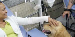 Unveil 8a21a6f614db065bb1ca2c21a5c803aede783f93e5277febbd47f37d9dbae4ca