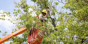 Unveil 8a21a6f614db065bb1ca2c21a5c803aede783f93e5277febbd47f37d9dbae4ca