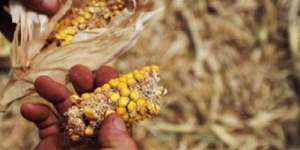 Unveil 8a21a6f614db065bb1ca2c21a5c803aede783f93e5277febbd47f37d9dbae4ca