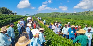 Unveil 8a21a6f614db065bb1ca2c21a5c803aede783f93e5277febbd47f37d9dbae4ca