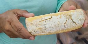 Unveil 8a21a6f614db065bb1ca2c21a5c803aede783f93e5277febbd47f37d9dbae4ca