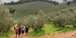 Unveil 8a21a6f614db065bb1ca2c21a5c803aede783f93e5277febbd47f37d9dbae4ca