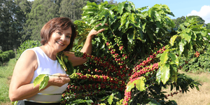 Unveil 8a21a6f614db065bb1ca2c21a5c803aede783f93e5277febbd47f37d9dbae4ca