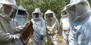 Unveil 8a21a6f614db065bb1ca2c21a5c803aede783f93e5277febbd47f37d9dbae4ca