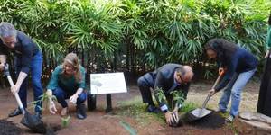 Unveil 8a21a6f614db065bb1ca2c21a5c803aede783f93e5277febbd47f37d9dbae4ca