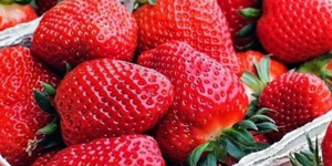 Unveil 8a21a6f614db065bb1ca2c21a5c803aede783f93e5277febbd47f37d9dbae4ca