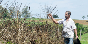 Unveil 8a21a6f614db065bb1ca2c21a5c803aede783f93e5277febbd47f37d9dbae4ca